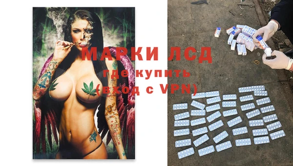 стафф Богданович