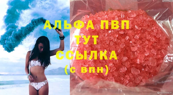 стафф Богданович