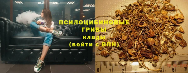 стафф Богданович
