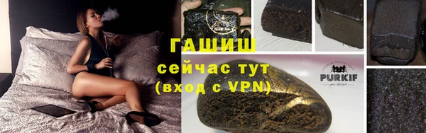 стафф Богданович