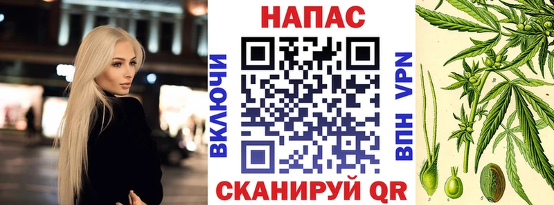 Бошки Шишки план Торопец